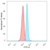 HDAC6 Antibody