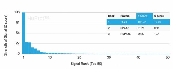 Analysis of Protein Array containing more than 19,000 full-length human proteins using TIGIT-Monospecific Mouse Monoclonal Antibody (TIGIT/3106). Z- and S- Score: The Z-score represents the strength of a signal that a monoclonal antibody (Monoclonal Antibody) (in combination with a fluorescently-tagged anti-IgG secondary antibody) produces when binding to a particular protein on the HuProtTM array. Z-scores are described in units of standard deviations (SDs) above the mean value of all signals generated on that array. If targets on HuProtTM are arranged in descending order of the Z-score, the S-score is the difference (also in units of SDs) between the Z-score. S-score therefore represents the relative target specificity of a Monoclonal Antibody to its intended target. A Monoclonal Antibody is considered to specific to its intended target, if the Monoclonal Antibody has an S-score of at least 2.5. For example, if a Monoclonal Antibody binds to protein X with a Z-score of 43 and to protein Y with a Z-score of 14, then the S-score for the binding of that Monoclonal Antibody to protein X is equal to 29.