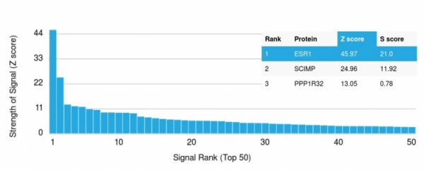 Analysis of Protein Array containing more than 19,000 full-length human proteins using Estrogen Receptor, alpha Mouse Monoclonal Antibody (ER506). Z- and S- Score: The Z-score represents the strength of a signal that a monoclonal antibody (MAb) (in combination with a fluorescently-tagged anti-IgG secondary antibody) produces when binding to a particular protein on the HuProtTM array. Z-scores are described in units of standard deviations (SDs) above the mean value of all signals generated on that array. If targets on HuProtTM are arranged in descending order of the Z-score, the S-score is the difference (also in units of SDs) between the Z-score. S-score therefore represents the relative target specificity of a MAb to its intended target. A MAb is considered to specific to its intended target, if the MAb has an S-score of at least 2.5. For example, if a MAb binds to protein X with a Z-score of 43 and to protein Y with a Z-score of 14, then the S-score for the binding of that MAb to protein X is equal to 29.