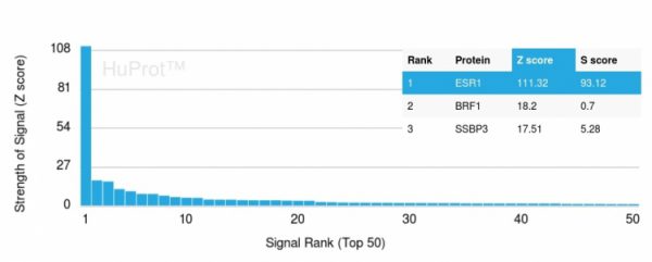 Analysis of Protein Array containing more than 19,000 full-length human proteins using Estrogen Receptor alpha Mouse Monoclonal Antibody (ESR1/3342) Z- and S- Score: The Z-score represents the strength of a signal that a monoclonal antibody (Monoclonal Antibody) (in combination with a fluorescently-tagged anti-IgG secondary antibody) produces when binding to a particular protein on the HuProtTM array. Z-scores are described in units of standard deviations (SD‚Äôs) above the mean value of all signals generated on that array. If targets on HuProtTM are arranged in descending order of the Z-score, the S-score is the difference (also in units of SD‚Äôs) between the Z-score. S-score therefore represents the relative target specificity of a Monoclonal Antibody to its intended target. A Monoclonal Antibody is considered to specific to its intended target, if the Monoclonal Antibody has an S-score of at least 2.5. For example, if a Monoclonal Antibody binds to protein X with a Z-score of 43 and to protein Y with a Z-score of 14, then the S-score for the binding of that Monoclonal Antibody to protein X is equal to 29.