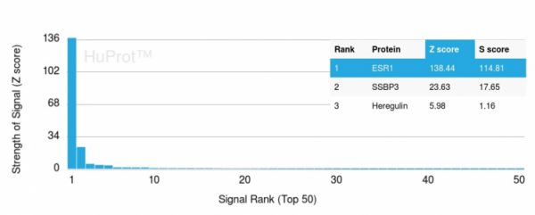 Analysis of Protein Array containing more than 19,000 full-length human proteins using Estrogen Receptor alpha Mouse Monoclonal Antibody (ESR1/3556) Z- and S- Score: The Z-score represents the strength of a signal that a monoclonal antibody (Monoclonal Antibody) (in combination with a fluorescently-tagged anti-IgG secondary antibody) produces when binding to a particular protein on the HuProtTM array. Z-scores are described in units of standard deviations (SD‚Äôs) above the mean value of all signals generated on that array. If targets on HuProtTM are arranged in descending order of the Z-score, the S-score is the difference (also in units of SD‚Äôs) between the Z-score. S-score therefore represents the relative target specificity of a Monoclonal Antibody to its intended target. A Monoclonal Antibody is considered to specific to its intended target, if the Monoclonal Antibody has an S-score of at least 2.5. For example, if a Monoclonal Antibody binds to protein X with a Z-score of 43 and to protein Y with a Z-score of 14, then the S-score for the binding of that Monoclonal Antibody to protein X is equal to 29.