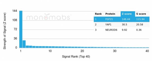 Analysis of Protein Array containing more than 19,000 full-length human proteins using FGF21 Mouse Monoclonal antibody (FGF21/4343). Z- and S- Score: The Z-score represents the strength of a signal that a monoclonal antibody (MAb) (in combination with a fluorescently-tagged anti-IgG secondary antibody) produces when binding to a particular protein on the HuProtTM array. Z-scores are described in units of standard deviations (SD's) above the mean value of all signals generated on that array. If targets on HuProtTM are arranged in descending order of the Z-score, the S-score is the difference (also in units of SD's) between the Z-score. S-score therefore represents the relative target specificity of a MAb to its intended target.  A MAb is considered to specific to its intended target, if the MAb has an S-score of at least 2.5. For example, if a MAb binds to protein X with a Z-score of 43 and to protein Y with a Z-score of 14, then the S-score for the binding of that MAb to protein X is equal to 29.