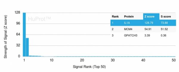 Analysis of Protein Array containing >19,000 full-length human proteins using Interleukin-1 alpha (IL-1A) Mouse Monoclonal Antibody (IL1A/3981). Z- and S- Score: The Z-score represents the strength of a signal that a monoclonal antibody (MAb) (in combination with a fluorescently-tagged anti-IgG secondary antibody) produces when binding to a particular protein on the HuProtTM array. Z-scores are described in units of standard deviations (SD's) above the mean value of all signals generated on that array. If targets on HuProtTM are arranged in descending order of the Z-score, the S-score is the difference (also in units of SD's) between the Z-score. S-score therefore represents the relative target specificity of a MAb to its intended target.  A MAb is considered to specific to its intended target, if the MAb has an S-score of at least 2.5. For example, if a MAb binds to protein X with a Z-score of 43 and to protein Y with a Z-score of 14, then the S-score for the binding of that MAb to protein X is equal to 29.