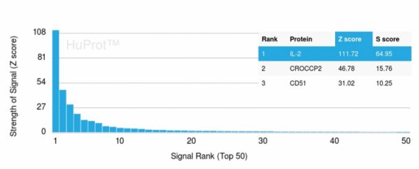 Analysis of Protein Array containing more than 19,000 full-length human proteins using Interleukin-2 (IL-2) Monospecific Mouse Monoclonal Antibody (IL2/3949). Z- and S- Score: The Z-score represents the strength of a signal that a monoclonal antibody (MAb) (in combination with a fluorescently-tagged anti-IgG secondary antibody) produces when binding to a particular protein on the HuProtTM array. Z-scores are described in units of standard deviations (SD's) above the mean value of all signals generated on that array. If targets on HuProtTM are arranged in descending order of the Z-score, the S-score is the difference (also in units of SD's) between the Z-score. S-score therefore represents the relative target specificity of a MAb to its intended target.  A MAb is considered to be specific to its intended target, if the MAb has an S-score of at least 2.5. For example, if a MAb binds to protein X with a Z-score of 43 and to protein Y with a Z-score of 14, then the S-score for the binding of that MAb to protein X is equal to 29.