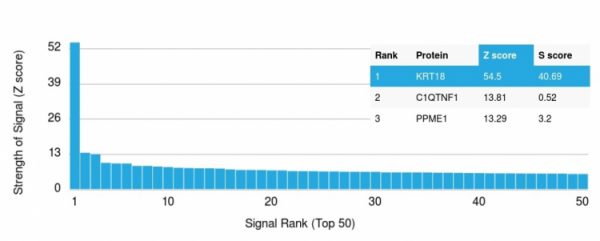 Analysis of Protein Array containing >19,000 full-length human proteins using Cytokeratin 18 Mouse Monoclonal Antibody (KRT18/836) Z- and S- Score: The Z-score represents the strength of a signal that a monoclonal antibody (MAb) (in combination with a fluorescently-tagged anti-IgG secondary antibody) produces when binding to a particular protein on the HuProtTM array. Z-scores are described in units of standard deviations (SD's) above the mean value of all signals generated on that array. If targets on HuProtTM are arranged in descending order of the Z-score, the S-score is the difference (also in units of SD's) between the Z-score. S-score therefore represents the relative target specificity of a MAb to its intended target. A MAb is considered to specific to its intended target, if the MAb has an S-score of at least 2.5. For example, if a MAb binds to protein X with a Z-score of 43 and to protein Y with a Z-score of 14, then the S-score for the binding of that MAb to protein X is equal to 29.