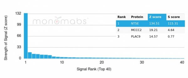 Analysis of Protein Array containing more than 19,000 full-length human proteins using CD73-Monospecific Mouse Monoclonal Antibody (CD73/2646). Z- and S- Score: The Z-score represents the strength of a signal that a monoclonal antibody (MAb) (in combination with a fluorescently-tagged anti-IgG secondary antibody) produces when binding to a particular protein on the HuProtTM array. Z-scores are described in units of standard deviations (SD&apos;s) above the mean value of all signals generated on that array. If targets on HuProtTM are arranged in descending order of the Z-score, the S-score is the difference (also in units of SD&apos;s) between the Z-score. S-score therefore represents the relative target specificity of a MAb to its intended target.  A MAb is considered to specific to its intended target, if the MAb has an S-score of at least 2.5. For example, if a MAb binds to protein X with a Z-score of 43 and to protein Y with a Z-score of 14, then the S-score for the binding of that MAb to protein X is equal to 29.