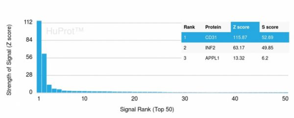 Analysis of Protein Array containing more than 19,000 full-length human proteins using CD31 Mouse Monoclonal Antibody (PECAM1/3529) Z- and S- Score: The Z-score represents the strength of a signal that a monoclonal antibody (MAb) (in combination with a fluorescently-tagged anti-IgG secondary antibody) produces when binding to a particular protein on the HuProtTM array. Z-scores are described in units of standard deviations (SD�s) above the mean value of all signals generated on that array. If targets on HuProtTM are arranged in descending order of the Z-score, the S-score is the difference (also in units of SD�s) between the Z-score. S-score therefore represents the relative target specificity of a MAb to its intended target. A MAb is considered to specific to its intended target, if the MAb has an S-score of at least 2.5. For example, if a MAb binds to protein X with a Z-score of 43 and to protein Y with a Z-score of 14, then the S-score for the binding of that MAb to protein X is equal to 29.