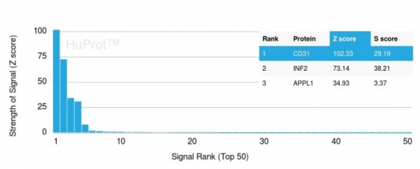 Analysis of Protein Array containing more than 19,000 full-length human proteins using CD31 Mouse Monoclonal Antibody (PECAM1/3530) Z- and S- Score: The Z-score represents the strength of a signal that a monoclonal antibody (MAb) (in combination with a fluorescently-tagged anti-IgG secondary antibody) produces when binding to a particular protein on the HuProtTM array. Z-scores are described in units of standard deviations (SD&apos;s) above the mean value of all signals generated on that array. If targets on HuProtTM are arranged in descending order of the Z-score, the S-score is the difference (also in units of SD&apos;s) between the Z-score. S-score therefore represents the relative target specificity of a MAb to its intended target. A MAb is considered to specific to its intended target, if the MAb has an S-score of at least 2.5. For example, if a MAb binds to protein X with a Z-score of 43 and to protein Y with a Z-score of 14, then the S-score for the binding of that MAb to protein X is equal to 29.