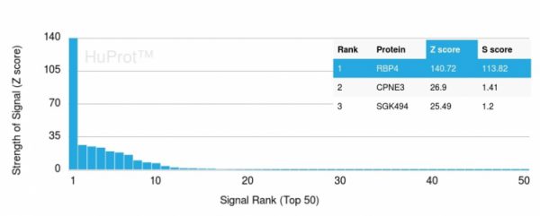 Analysis of Protein Array containing more than 19,000 full-length human proteins using RBP4 Mouse Monoclonal Antibody (RBP4/4043). Z- and S- Score: The Z-score represents the strength of a signal that a monoclonal antibody (MAb) (in combination with a fluorescently-tagged anti-IgG secondary antibody) produces when binding to a particular protein on the HuProtTM array. Z-scores are described in units of standard deviations (SD's) above the mean value of all signals generated on that array. If targets on HuProtTM are arranged in descending order of the Z-score, the S-score is the difference (also in units of SD's) between the Z-score. S-score therefore represents the relative target specificity of a MAb to its intended target.  A MAb is considered to specific to its intended target, if the MAb has an S-score of at least 2.5. For example, if a MAb binds to protein X with a Z-score of 43 and to protein Y with a Z-score of 14, then the S-score for the binding of that MAb to protein X is equal to 29.