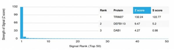 Analysis of Protein Array containing more than 19,000 full-length human proteins using TRIM27 Mouse Monoclonal Antibody (PCRP-TRIM27-1B3). Z- and S- Score: The Z-score represents the strength of a signal that a monoclonal antibody (MAb) (in combination with a fluorescently-tagged anti-IgG secondary antibody) produces when binding to a particular protein on the HuProtTM array. Z-scores are described in units of standard deviations (SD's) above the mean value of all signals generated on that array. If targets on HuProtTM are arranged in descending order of the Z-score, the S-score is the difference (also in units of SD's) between the Z-score. S-score therefore represents the relative target specificity of a MAb to its intended target.  A MAb is considered to specific to its intended target, if the MAb has an S-score of at least 2.5. For example, if a MAb binds to protein X with a Z-score of 43 and to protein Y with a Z-score of 14, then the S-score for the binding of that MAb to protein X is equal to 29.