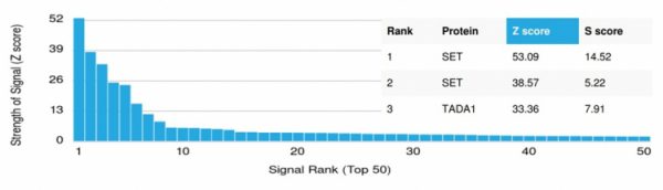 Analysis of Protein Array containing more than 19,000 full-length human proteins using SET Mouse Monoclonal Antibody (PCRP-SET-1C6). Z- and S- Score: The Z-score represents the strength of a signal that a monoclonal antibody (MAb) (in combination with a fluorescently-tagged anti-IgG secondary antibody) produces when binding to a particular protein on the HuProtTM array. Z-scores are described in units of standard deviations (SD's) above the mean value of all signals generated on that array. If targets on HuProtTM are arranged in descending order of the Z-score, the S-score is the difference (also in units of SD's) between the Z-score. S-score therefore represents the relative target specificity of a MAb to its intended target.  A MAb is considered to specific to its intended target, if the MAb has an S-score of at least 2.5. For example, if a MAb binds to protein X with a Z-score of 43 and to protein Y with a Z-score of 14, then the S-score for the binding of that MAb to protein X is equal to 29.