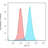 Recombinant CD43 (T-Cell Marker) Antibody - Image 4