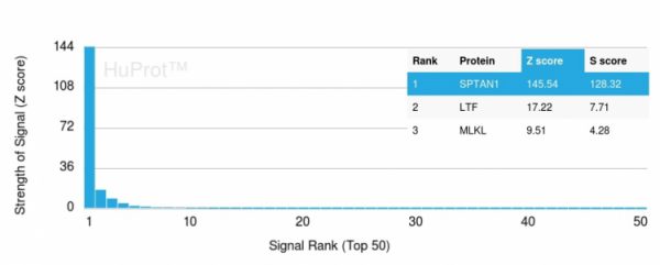 Analysis of Protein Array containing more than 19,000 full-length human proteins using Fodrin Mouse Monoclonal Antibody (SPTAN1/3351). Z- and S- Score: The Z-score represents the strength of a signal that a monoclonal antibody (MAb) (in combination with a fluorescently-tagged anti-IgG secondary antibody) produces when binding to a particular protein on the HuProtTM array. Z-scores are described in units of standard deviations (SD‚Äôs) above the mean value of all signals generated on that array. If targets on HuProtTM are arranged in descending order of the Z-score, the S-score is the difference (also in units of SD‚Äôs) between the Z-score. S-score therefore represents the relative target specificity of a MAb to its intended target. A MAb is considered to specific to its intended target, if the MAb has an S-score of at least 2.5. For example, if a MAb binds to protein X with a Z-score of 43 and to protein Y with a Z-score of 14, then the S-score for the binding of that MAb to protein X is equal to 29.