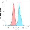 CD6 (Negative Marker of T-regulatory Cells) Antibody - Image 3