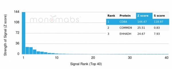 Analysis of Protein Array containing more than 19,000 full-length human proteins using CD8a Recombinant Rabbit Monoclonal Antibody (CD8/4391R). Z- and S- Score: The Z-score represents the strength of a signal that a monoclonal antibody (MAb) (in combination with a fluorescently-tagged anti-IgG secondary antibody) produces when binding to a particular protein on the HuProtTM array. Z-scores are described in units of standard deviations (SD&apos;s) above the mean value of all signals generated on that array. If targets on HuProtTM are arranged in descending order of the Z-score, the S-score is the difference (also in units of SD&apos;s) between the Z-score. S-score therefore represents the relative target specificity of a MAb to its intended target.  A MAb is considered to specific to its intended target, if the MAb has an S-score of at least 2.5. For example, if a MAb binds to protein X with a Z-score of 43 and to protein Y with a Z-score of 14, then the S-score for the binding of that MAb to protein X is equal to 29.