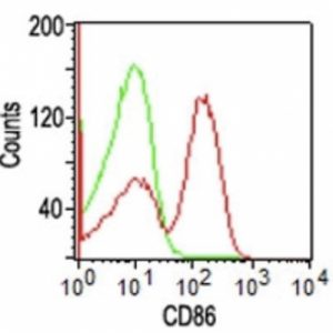 CD86 Antibody in Flow Cytometry (FC)