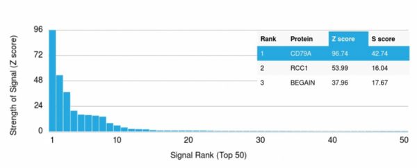 Analysis of Protein Array containing more than 19,000 full-length human proteins using CD79a Mouse Recombinant Monoclonal Antibody (rIGA/764). Z- and S- Score: The Z-score represents the strength of a signal that a monoclonal antibody (MAb) (in combination with a fluorescently-tagged anti-IgG secondary antibody) produces when binding to a particular protein on the HuProtTM array. Z-scores are described in units of standard deviations (SD's) above the mean value of all signals generated on that array. If targets on HuProtTM are arranged in descending order of the Z-score, the S-score is the difference (also in units of SD's) between the Z-score. S-score therefore represents the relative target specificity of a MAb to its intended target. A MAb is considered to specific to its intended target, if the MAb has an S-score of at least 2.5. For example, if a MAb binds to protein X with a Z-score of 43 and to protein Y with a Z-score of 14, then the S-score for the binding of that MAb to protein X is equal to 29.