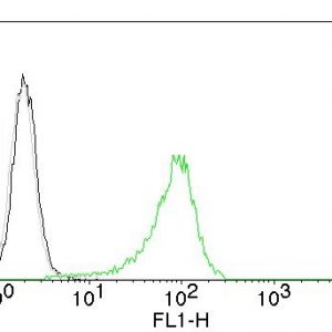 Human Nuclear Antigen Antibody in Flow Cytometry (FC)