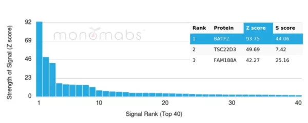 Analysis of Protein Array containing more than 19,000 full-length human proteins using BATF2 Mouse Monoclonal Antibody (PCRP-BATF2-2B9). Z- and S- Score: The Z-score represents the strength of a signal that a monoclonal antibody (MAb) (in combination with a fluorescently-tagged anti-IgG secondary antibody) produces when binding to a particular protein on the HuProtTM array. Z-scores are described in units of standard deviations (SD's) above the mean value of all signals generated on that array. If targets on HuProtTM are arranged in descending order of the Z-score, the S-score is the difference (also in units of SD's) between the Z-score. S-score therefore represents the relative target specificity of a MAb to its intended target.  A MAb is considered to specific to its intended target, if the MAb has an S-score of at least 2.5. For example, if a MAb binds to protein X with a Z-score of 43 and to protein Y with a Z-score of 14, then the S-score for the binding of that MAb to protein X is equal to 29.
