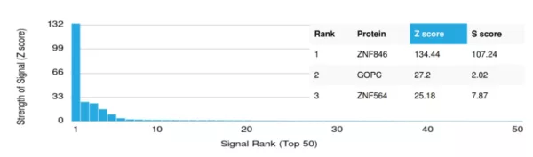 Analysis of Protein Array containing more than 19,000 full-length human proteins using ZNF846 Mouse Monoclonal Antibody (PCRP-ZNF846-1E12) Z- and S- Score: The Z-score represents the strength of a signal that a monoclonal antibody (MAb) (in combination with a fluorescently-tagged anti-IgG secondary antibody) produces when binding to a particular protein on the HuProtTM array. Z-scores are described in units of standard deviations (SD's) above the mean value of all signals generated on that array. If targets on HuProtTM are arranged in descending order of the Z-score, the S-score is the difference (also in units of SD's) between the Z-score. S-score therefore represents the relative target specificity of a MAb to its intended target.  A MAb is considered to specific to its intended target, if the MAb has an S-score of at least 2.5. For example, if a MAb binds to protein X with a Z-score of 43 and to protein Y with a Z-score of 14, then the S-score for the binding of that MAb to protein X is equal to 29.