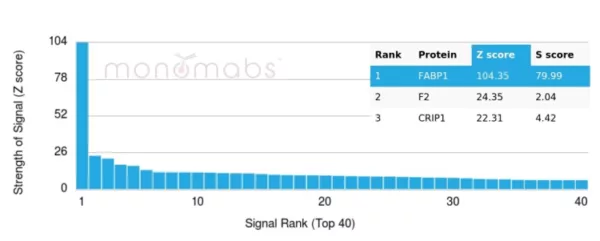 Analysis of Protein Array containing more than 19,000 full-length human proteins using FABP1-Monospecific Mouse Monoclonal Antibody (FABP1/4990).  Z- and S- Score: The Z-score represents the strength of a signal that a monoclonal antibody (MAb) (in combination with a fluorescently-tagged anti-IgG secondary antibody) produces when binding to a particular protein on the HuProtTM array. Z-scores are described in units of standard deviations (SD's) above the mean value of all signals generated on that array. If targets on HuProtTM are arranged in descending order of the Z-score, the S-score is the difference (also in units of SD's) between the Z-score. S-score therefore represents the relative target specificity of a MAb to its intended target.  A MAb is considered to specific to its intended target, if the MAb has an S-score of at least 2.5. For example, if a MAb binds to protein X with a Z-score of 43 and to protein Y with a Z-score of 14, then the S-score for the binding of that MAb to protein X is equal to 29.