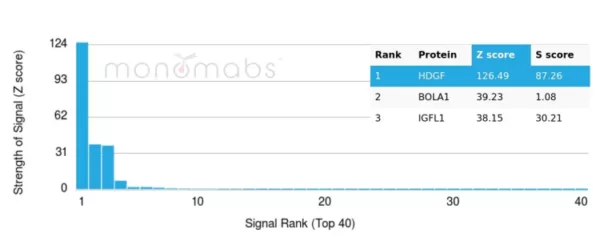 Analysis of Protein Array containing more than 19,000 full-length human proteins using HDGF Mouse Monoclonal Antibody (PCRP-HDGF-1D1). Z- and S- Score: The Z-score represents the strength of a signal that a monoclonal antibody (MAb) (in combination with a fluorescently-tagged anti-IgG secondary antibody) produces when binding to a particular protein on the HuProtTM array. Z-scores are described in units of standard deviations (SD's) above the mean value of all signals generated on that array. If targets on HuProtTM are arranged in descending order of the Z-score, the S-score is the difference (also in units of SD's) between the Z-score. S-score therefore represents the relative target specificity of a MAb to its intended target.  A MAb is considered to specific to its intended target, if the MAb has an S-score of at least 2.5. For example, if a MAb binds to protein X with a Z-score of 43 and to protein Y with a Z-score of 14, then the S-score for the binding of that MAb to protein X is equal to 29.