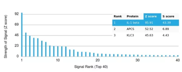 Analysis of Protein Array containing more than 19,000 full-length human proteins using Interleukin-1 Beta (IL-1B)-Monospecific Mouse Monoclonal Antibody (IL1B/4650). Z- and S- Score: The Z-score represents the strength of a signal that a monoclonal antibody (MAb) (in combination with a fluorescently-tagged anti-IgG secondary antibody) produces when binding to a particular protein on the HuProtTM array. Z-scores are described in units of standard deviations (SD's) above the mean value of all signals generated on that array. If targets on HuProtTM are arranged in descending order of the Z-score, the S-score is the difference (also in units of SD's) between the Z-score. S-score therefore represents the relative target specificity of a MAb to its intended target.  A MAb is considered to specific to its intended target, if the MAb has an S-score of at least 2.5. For example, if a MAb binds to protein X with a Z-score of 43 and to protein Y with a Z-score of 14, then the S-score for the binding of that MAb to protein X is equal to 29.