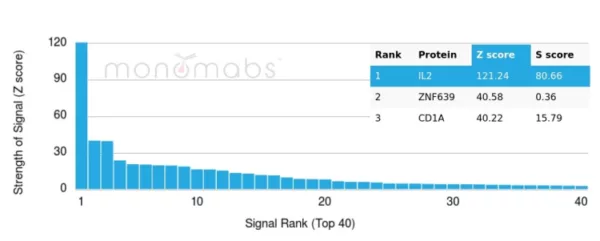 Analysis of Protein Array containing more than 19,000 full-length human proteins using Interleukin-2 (IL-2) Monospecific Mouse Monoclonal Antibody (IL2/4984). Z- and S- Score: The Z-score represents the strength of a signal that a monoclonal antibody (MAb) (in combination with a fluorescently-tagged anti-IgG secondary antibody) produces when binding to a particular protein on the HuProtTM array. Z-scores are described in units of standard deviations (SD's) above the mean value of all signals generated on that array. If targets on HuProtTM are arranged in descending order of the Z-score, the S-score is the difference (also in units of SD's) between the Z-score. S-score therefore represents the relative target specificity of a MAb to its intended target.  A MAb is considered to be specific to its intended target, if the MAb has an S-score of at least 2.5. For example, if a MAb binds to protein X with a Z-score of 43 and to protein Y with a Z-score of 14, then the S-score for the binding of that MAb to protein X is equal to 29.