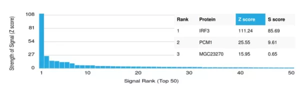 Analysis of Protein Array containing more than 19,000 full-length human proteins using IRF-3 Mouse Monoclonal Antibody (PCRP-IRF3-4D7). Z- and S- Score: The Z-score represents the strength of a signal that a monoclonal antibody (MAb) (in combination with a fluorescently-tagged anti-IgG secondary antibody) produces when binding to a particular protein on the HuProtTM array. Z-scores are described in units of standard deviations (SD's) above the mean value of all signals generated on that array. If targets on HuProtTM are arranged in descending order of the Z-score, the S-score is the difference (also in units of SD's) between the Z-score. S-score therefore represents the relative target specificity of a MAb to its intended target.  A MAb is considered to specific to its intended target, if the MAb has an S-score of at least 2.5. For example, if a MAb binds to protein X with a Z-score of 43 and to protein Y with a Z-score of 14, then the S-score for the binding of that MAb to protein X is equal to 29.