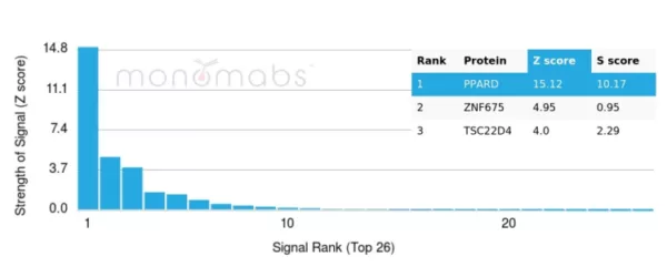 Analysis of Protein Array containing more than 19,000 full-length human proteins using PPARD Mouse Monoclonal Antibody (PCRP-PPARD-4C2). Z- and S- Score: The Z-score represents the strength of a signal that a monoclonal antibody (MAb) (in combination with a fluorescently-tagged anti-IgG secondary antibody) produces when binding to a particular protein on the HuProtTM array. Z-scores are described in units of standard deviations (SD's) above the mean value of all signals generated on that array. If targets on HuProtTM are arranged in descending order of the Z-score, the S-score is the difference (also in units of SD's) between the Z-score. S-score therefore represents the relative target specificity of a MAb to its intended target.  A MAb is considered to specific to its intended target, if the MAb has an S-score of at least 2.5. For example, if a MAb binds to protein X with a Z-score of 43 and to protein Y with a Z-score of 14, then the S-score for the binding of that MAb to protein X is equal to 29.