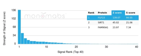 Analysis of Protein Array containing more than 19,000 full-length human proteins  using FGF23 Mouse Monoclonal Antibody (FGF23/4580).  Z- and S- Score: The Z-score represents the strength of a signal that a monoclonal antibody (MAb) (in combination with a fluorescently-tagged anti-IgG secondary antibody) produces when binding to a particular protein on the HuProtTM array. Z-scores are described in units of standard deviations (SD's) above the mean value of all signals generated on that array. If targets on HuProtTM are arranged in descending order of the Z-score, the S-score is the difference (also in units of SD's) between the Z-score. S-score therefore represents the relative target specificity of a MAb to its intended target.  A MAb is considered to specific to its intended target, if the MAb has an S-score of at least 2.5. For example, if a MAb binds to protein X with a Z-score of 43 and to protein Y with a Z-score of 14, then the S-score for the binding of that MAb to protein X is equal to 29.