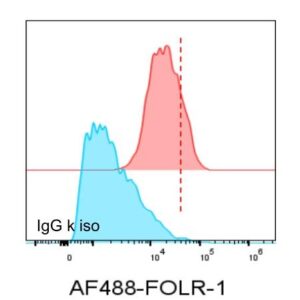 Folate Receptor Alpha Antibody in Flow Cytometry (FC)